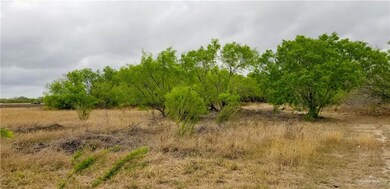 6503 N Mile 6 W, Weslaco, TX 78599 - photo 4