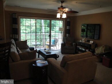 12471 Hayes Ct unit 204, Fairfax, VA 22033 - photo 6