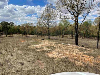 157 Greene 705 Rd, Jonesboro, AR 72401 - photo 5