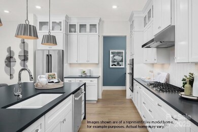 2215 Whitebark Dr unit 136, Indian Land, SC 29709 - photo 3