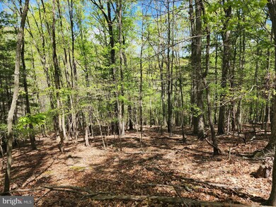 LOT 16-A Lost River Mountain Wits End, Mathias, WV 26812 - photo 5