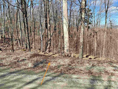 12 Windtree Rd, Winhall, VT 05340 - photo 3