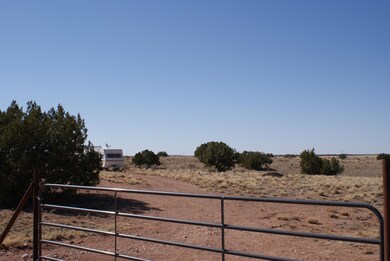 DSC08820