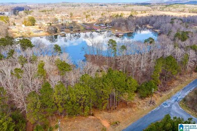 0 Castaway Rd unit Lot 101 1270975, Sylacauga, AL 35151 - photo 2
