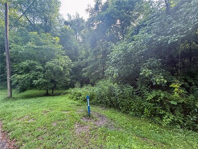 View of green lawn featuring a forest view