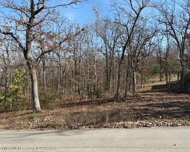 TBD Oak Hollow Dr, Fort Smith, AR 72903 - photo 2