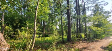 wooded 16