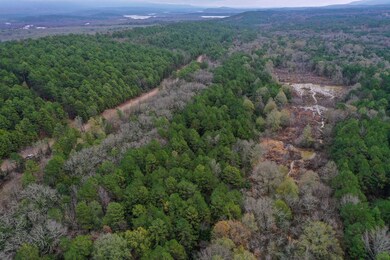 0000 County Line Rd, Booneville, AR 72927 - photo 4