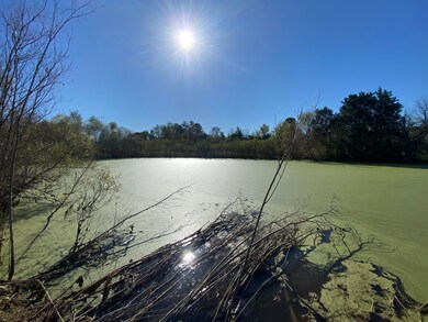 1 Brock Ln, Harrodsburg, KY 40330 - photo 5