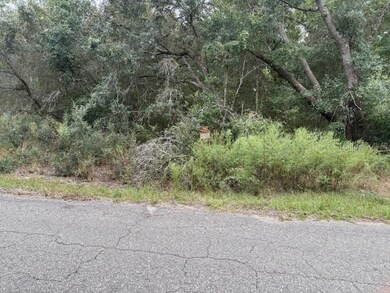 unlisted-address, Ocklawaha, FL 32179 - photo 4