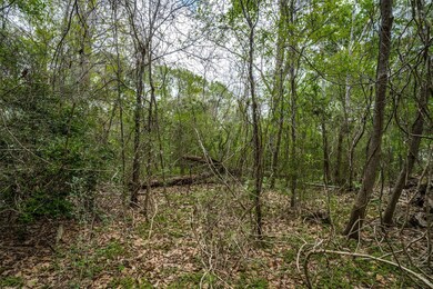 0 County Road 4322 Holly St, Dayton, TX 77535 - photo 6