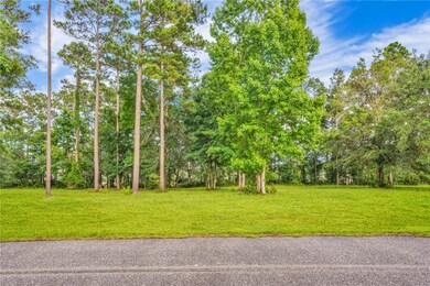 LOT 26 Tranquility Baker Island Way, Townsend, GA 31331 - photo 5