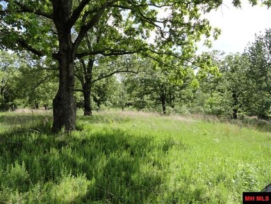 000 Diamond Bay Rd, Union Township, AR 72531 - photo 6