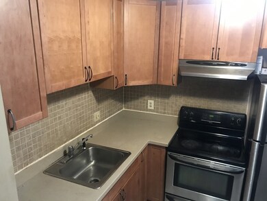 59 Highland Glen Dr unit 328, Randolph, MA 02368 - photo 6