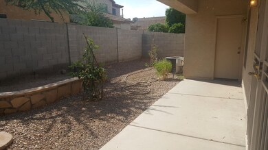 Backyard 2