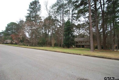 9062 9062 Elm Tree Cir, Tyler, TX 75703 - photo 3