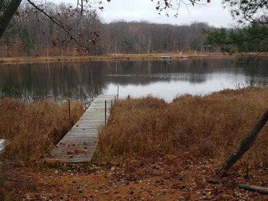 W14664 Hungry Lake Rd, Chetek, WI 54728 - photo 5