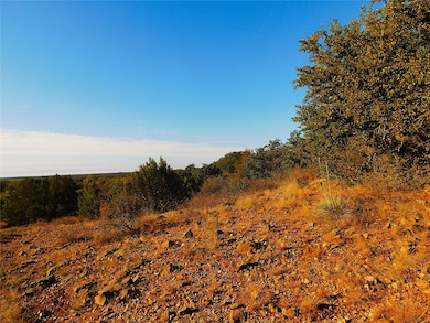 TBD County Road 131, Brownwood, TX 76801 - photo 4