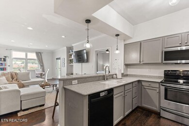 River Towne Condominiums unit 105, Knoxville, TN 37920 - photo 5
