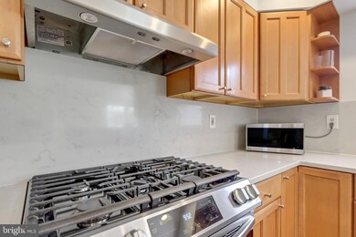 6313 Tisbury Dr, Burke, VA 22015 - photo 6