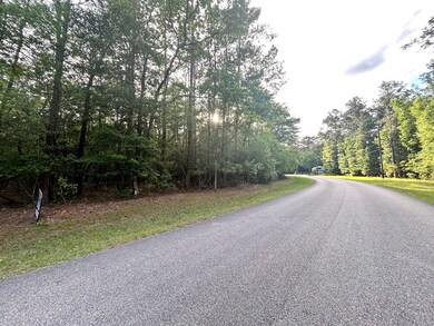 Lot 8 & 9 E Wildwood Dr, Wildwood, TX 77664 - photo 2