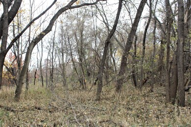 IMG_4762 (2)