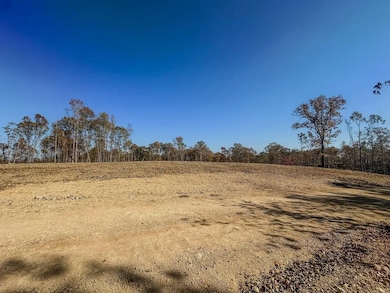 0 Firetower Rd unit 5, Centerville, TN 37033 - photo 2