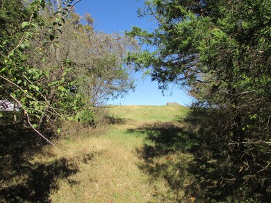 Tbd Peach Brook, Nixa, MO 65714 - photo 6