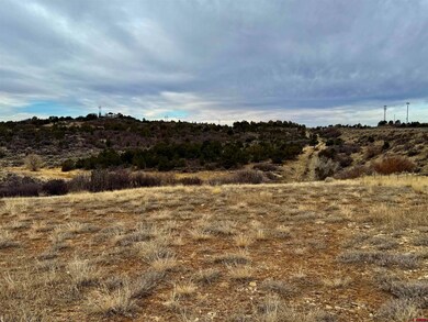 000 T5 Rd, Dolores, CO 81323 - photo 4