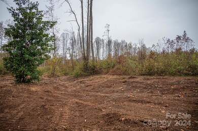 00 McCurry Farm Ln unit D, Lincolnton, NC 28092 - photo 6