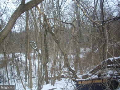 0 Lincoln Way W unit 1000118750, Fort Loudon, PA 17224 - photo 4