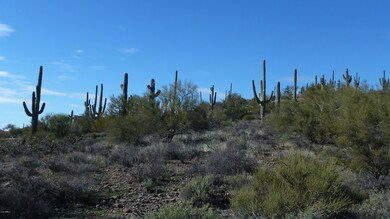 New River AZ 01-02-2019 010