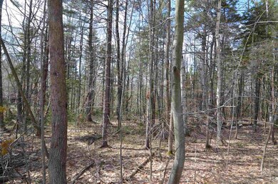 0 Berry Patch Ln unit 45-2, Ludlow, VT 05149 - photo 2