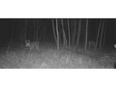 TBD Butternut Rd SE, Brainerd, MN 56401 - photo 7