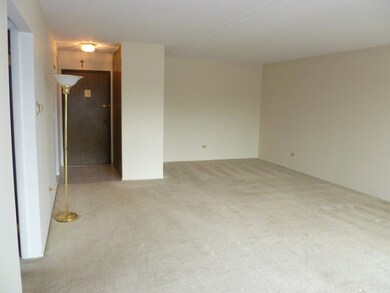 825 Pearson St unit 4H, Des Plaines, IL 60016 - photo 7