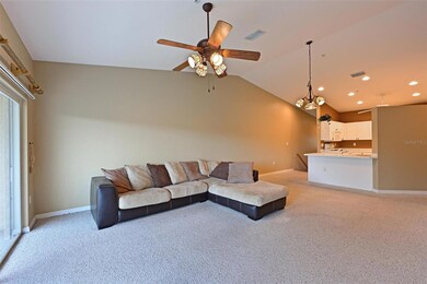 6335 Bay Cedar Ln, Bradenton, FL 34203 - photo 6