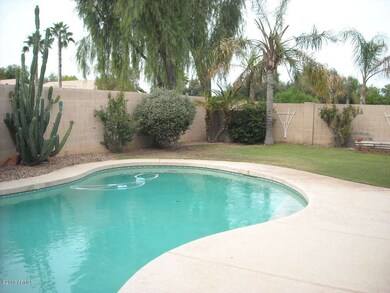 Cactus way 018