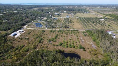 13660 Ficus Tree Ln, Bokeelia, FL 33922 - photo 5