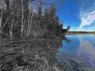 Vacant Township Park Rd, Springvale Township, MI 49770 - photo 5