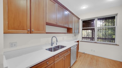 1213 E 53rd St unit 3W, Chicago, IL 60615 - photo 7