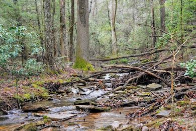 2424 Corral Rd, Signal Mountain, TN 37377 - photo 5