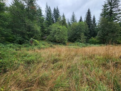 28310 NE Yacolt View Rd, Yacolt, WA 98675 - photo 6