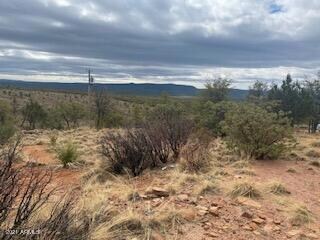 Lot 16 Hoot Owl Trail unit 16, Payson, AZ 85541 - photo 4