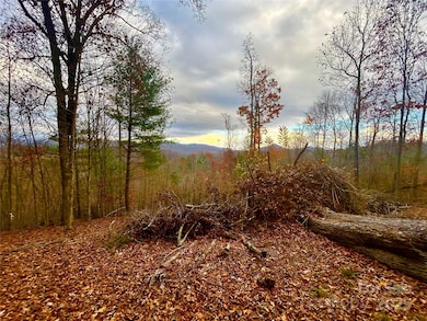 00000 High Peak Ridge unit 10, Green Mountain, NC 28740 - photo 7