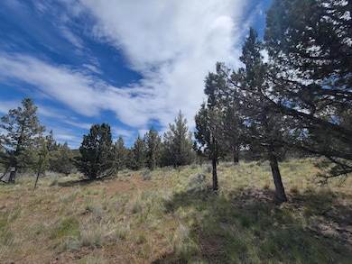 20102 SE Osprey Rd unit 800, Prineville, OR 97754 - photo 7