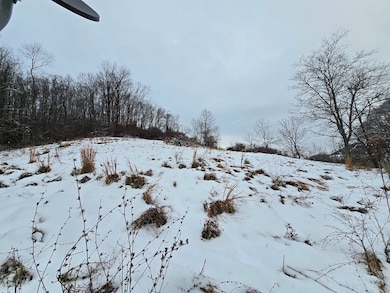 1533 Mundytown Rd, North Tazewell, VA 24630 - photo 4