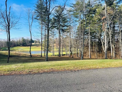 TBD Manor House Dr, Laurel Fork, VA 24352 - photo 2