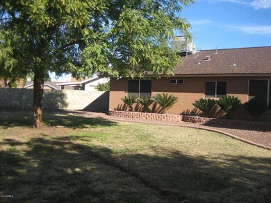 Backyard w/built-up planters