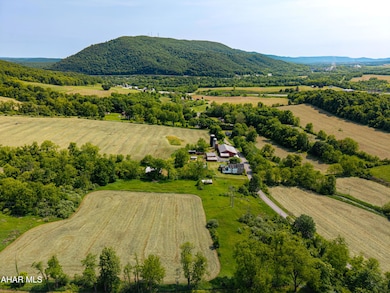 346 Lower Snake Spring Rd, Everett, PA 15537 - photo 7