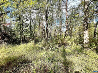 0 Riverdale Rd, Stanardsville, VA 22973 - photo 6